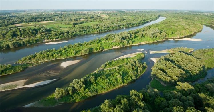 Slika /arhiva_gospodarstvo/dokumenti/190601 Sava.jpg